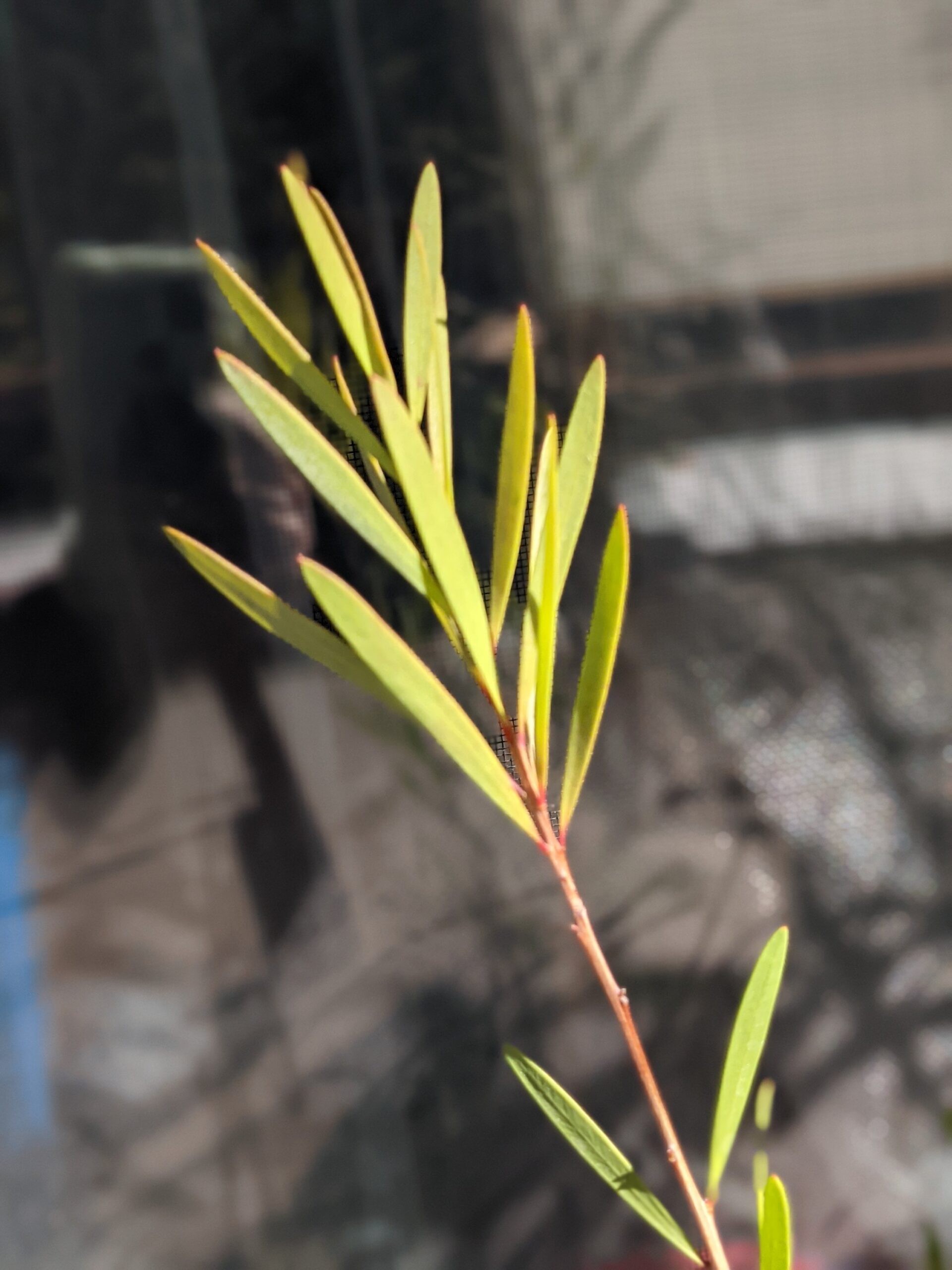 pxl_20211113_023914141294641448424352076