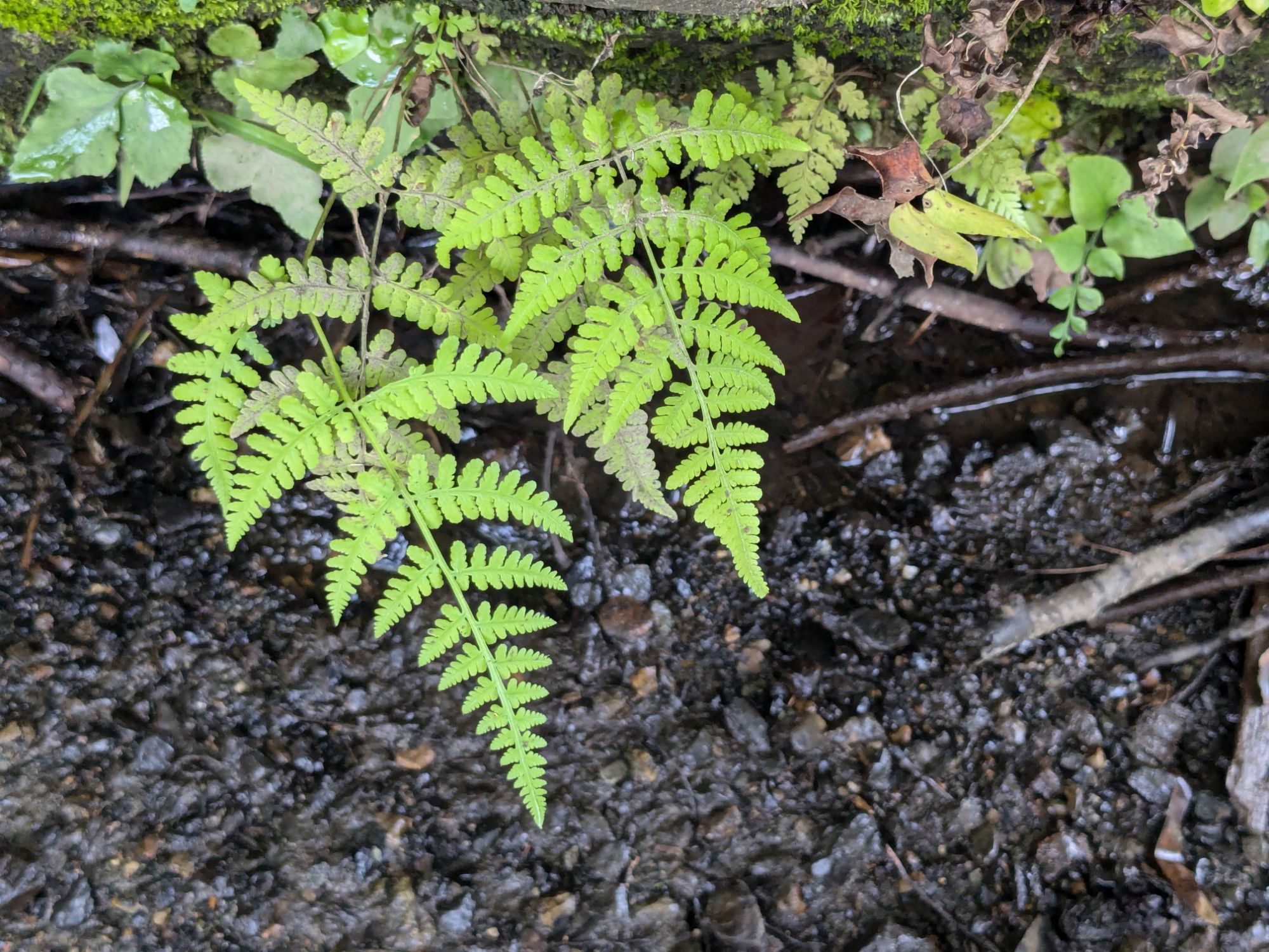 pxl_20240707_0551168888983839830939698512