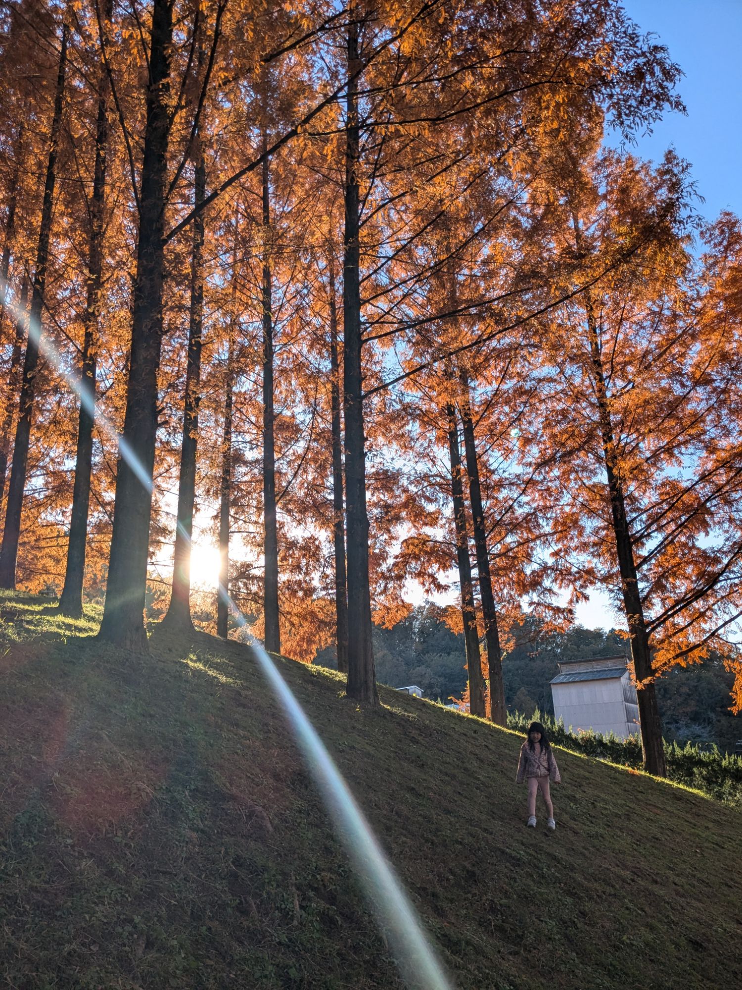 pxl_20241201_0554375563000299203723055179