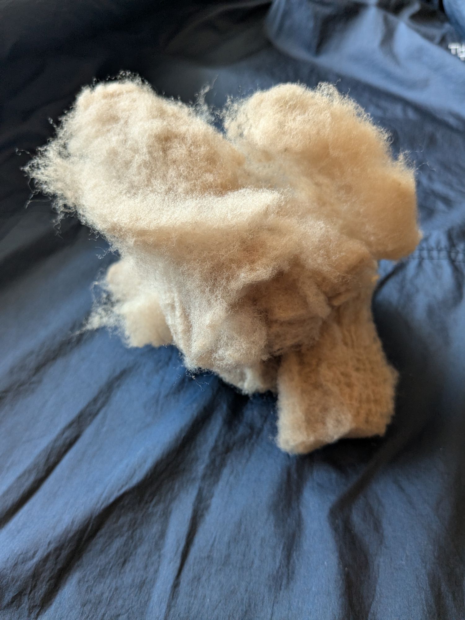 pxl_20250212_0301169598825574070253842405