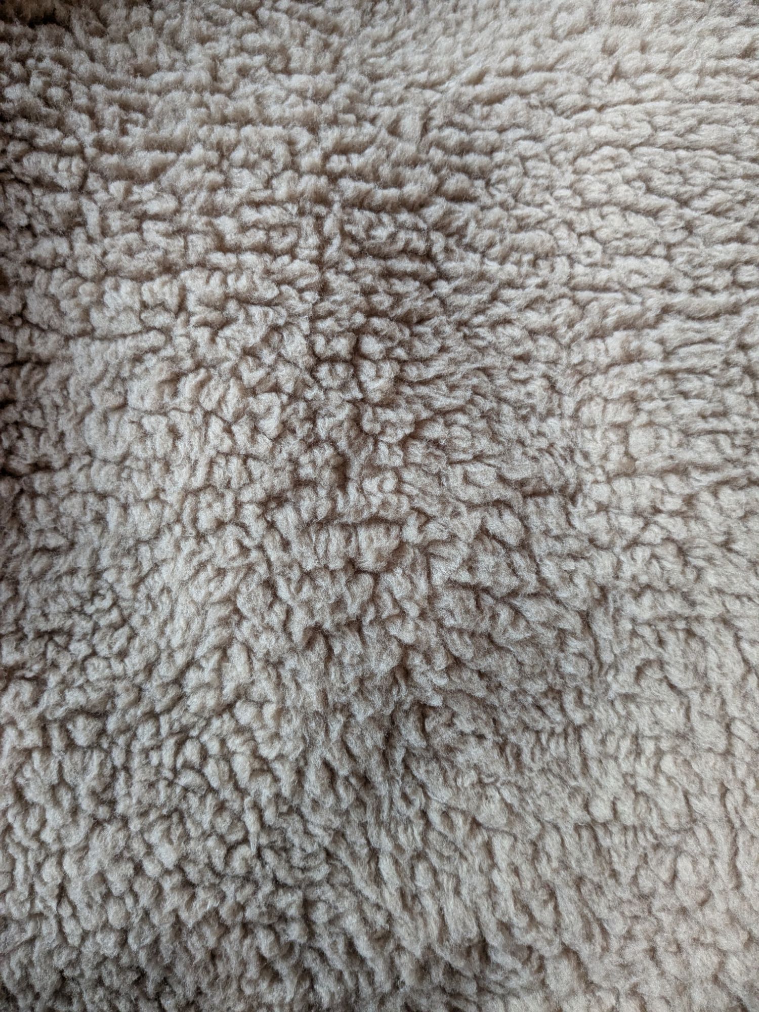 pxl_20250212_065524596327688088141606256