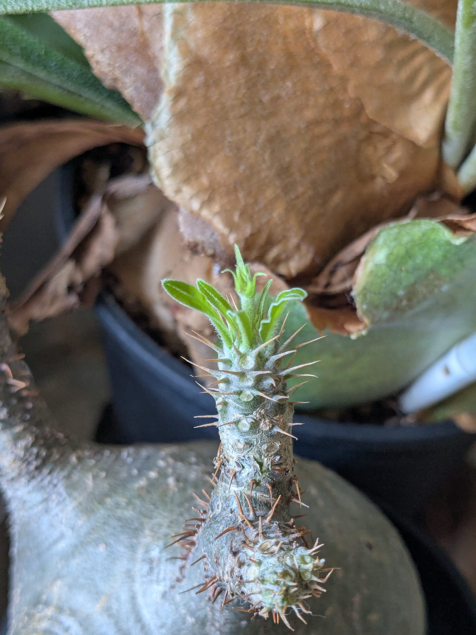 PXL_20250322_025609881