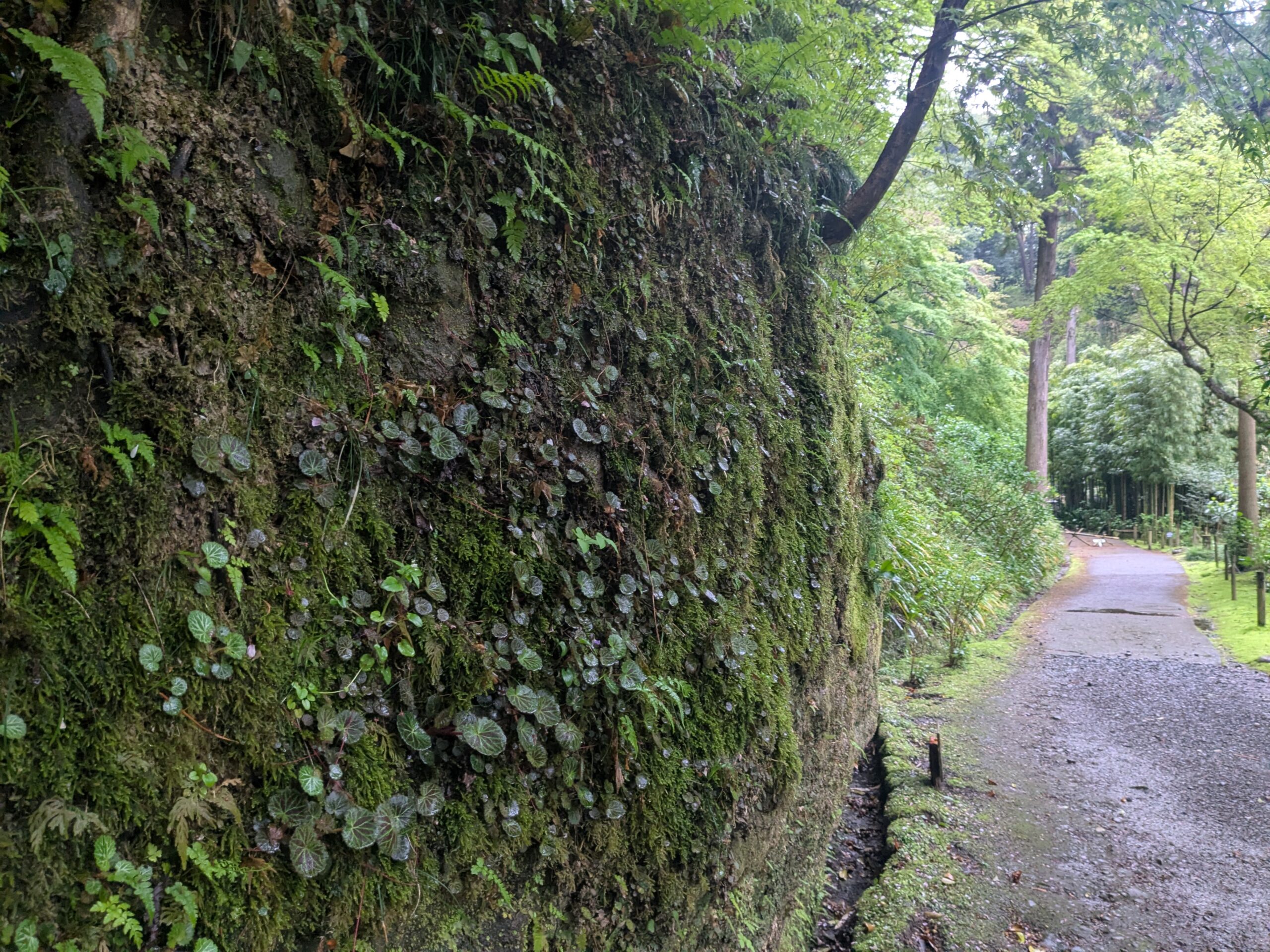 PXL_20250413_072743806