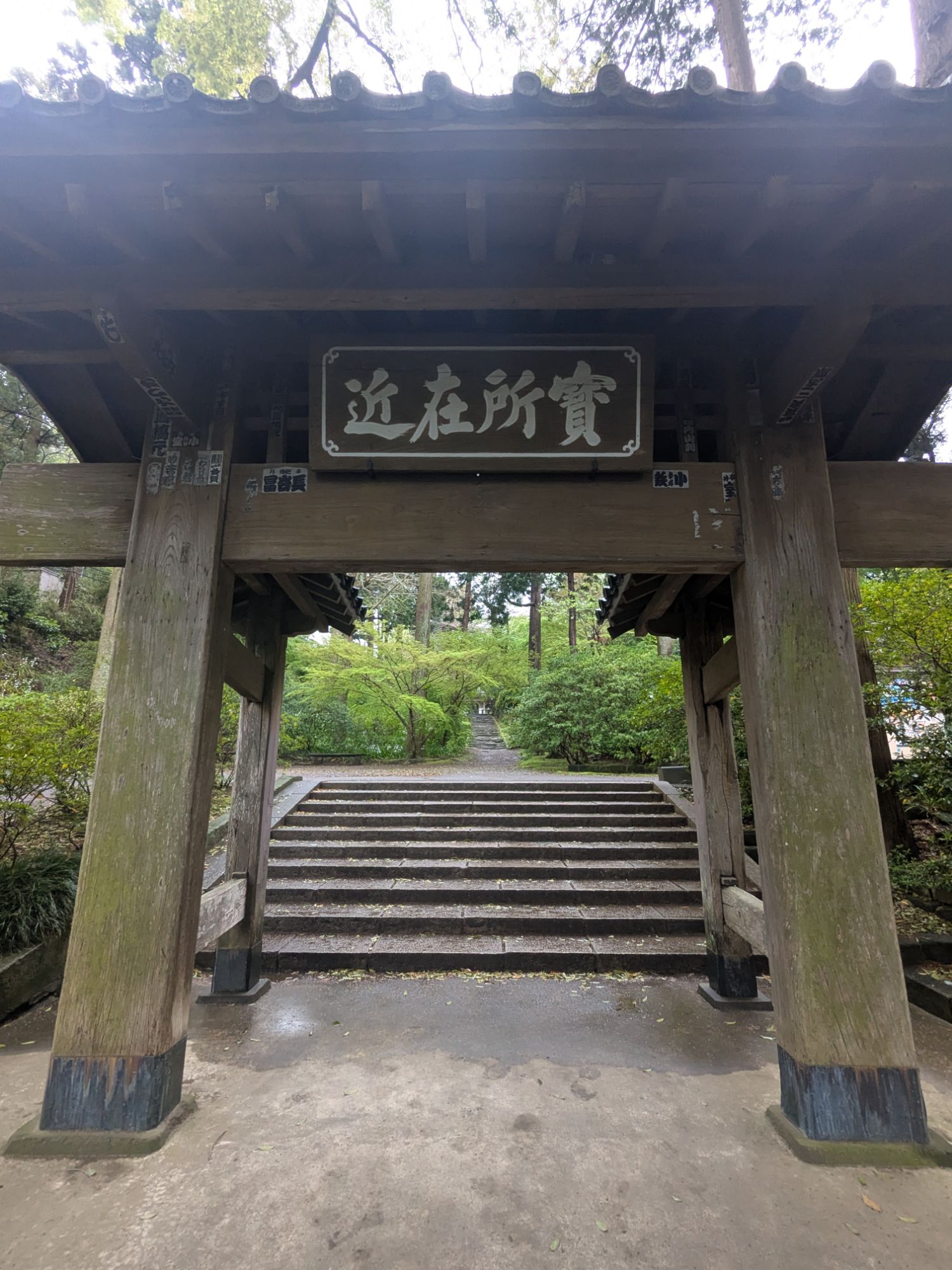 pxl_20250413_0719308618714446167781720807