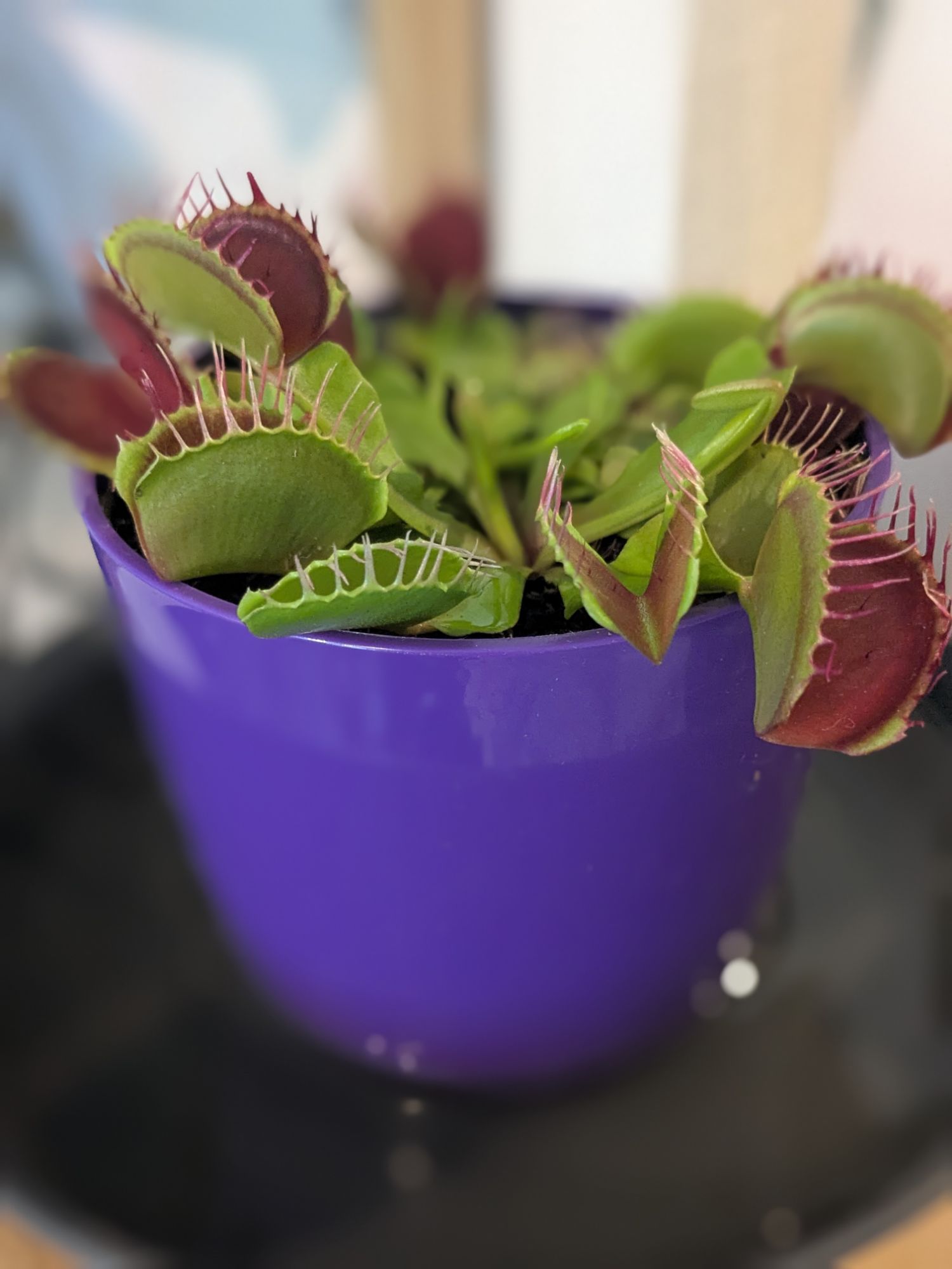 pxl_20250722_0303220693800659232480332890