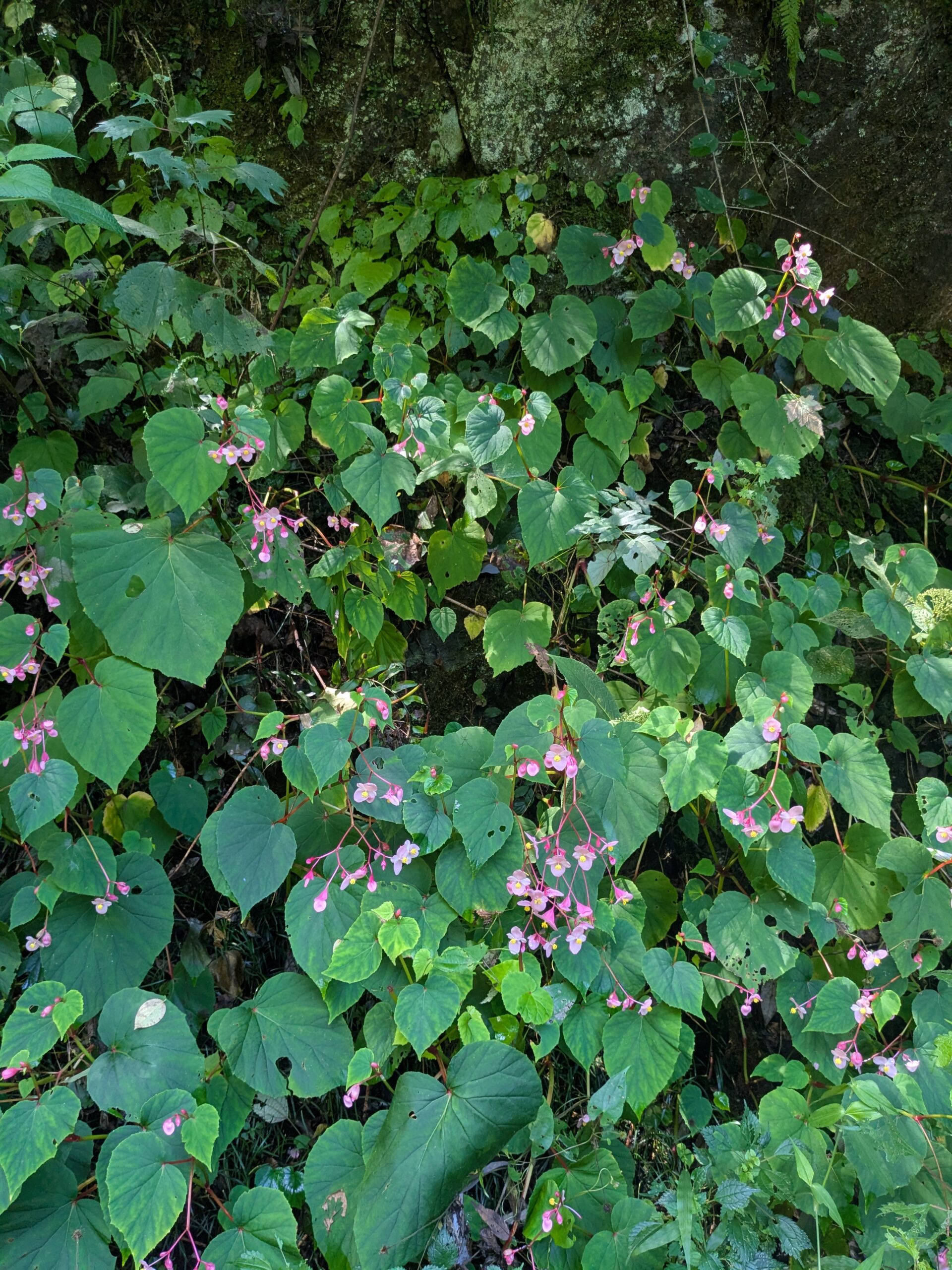 PXL_20250906_030433432