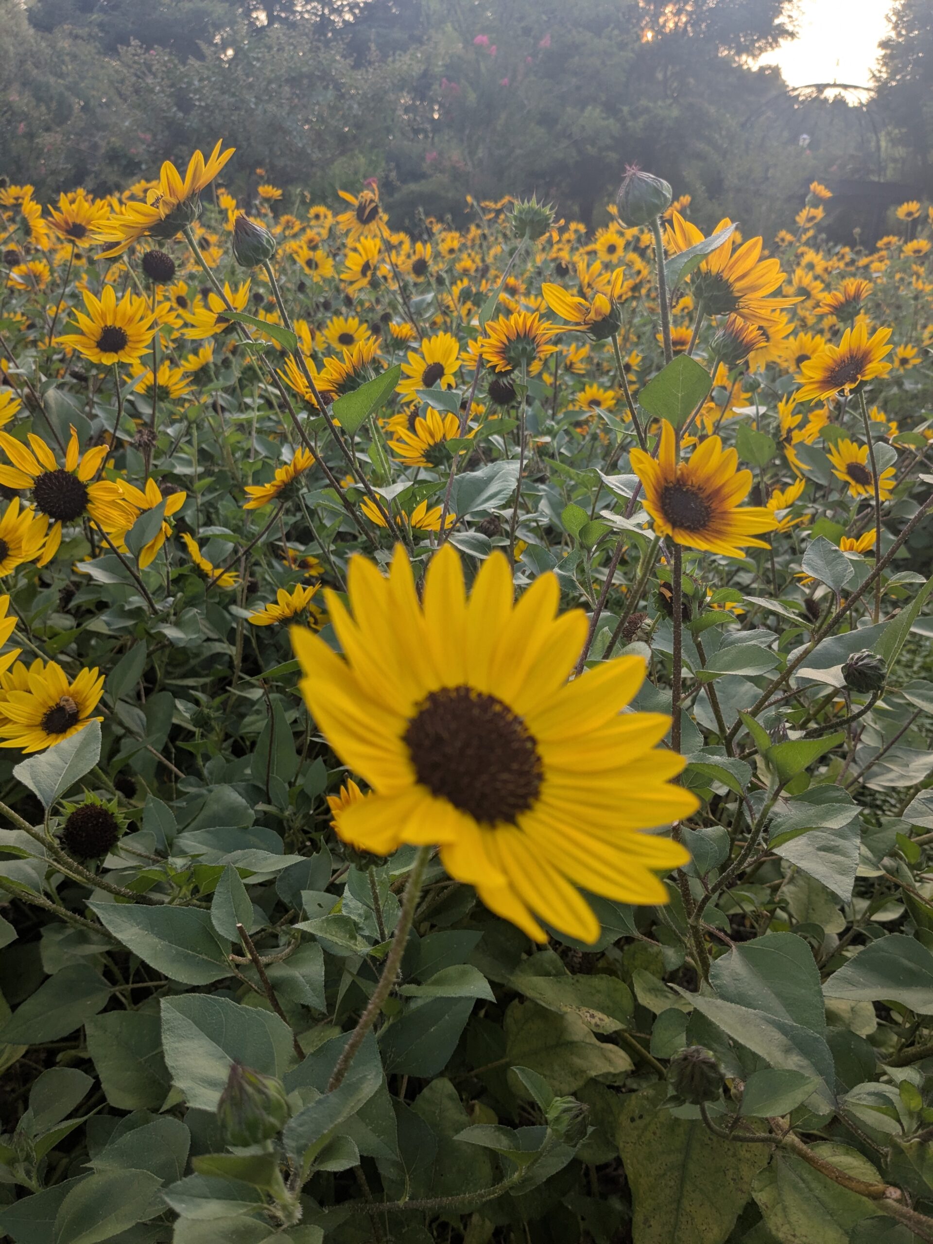 PXL_20250830_081608977.MP