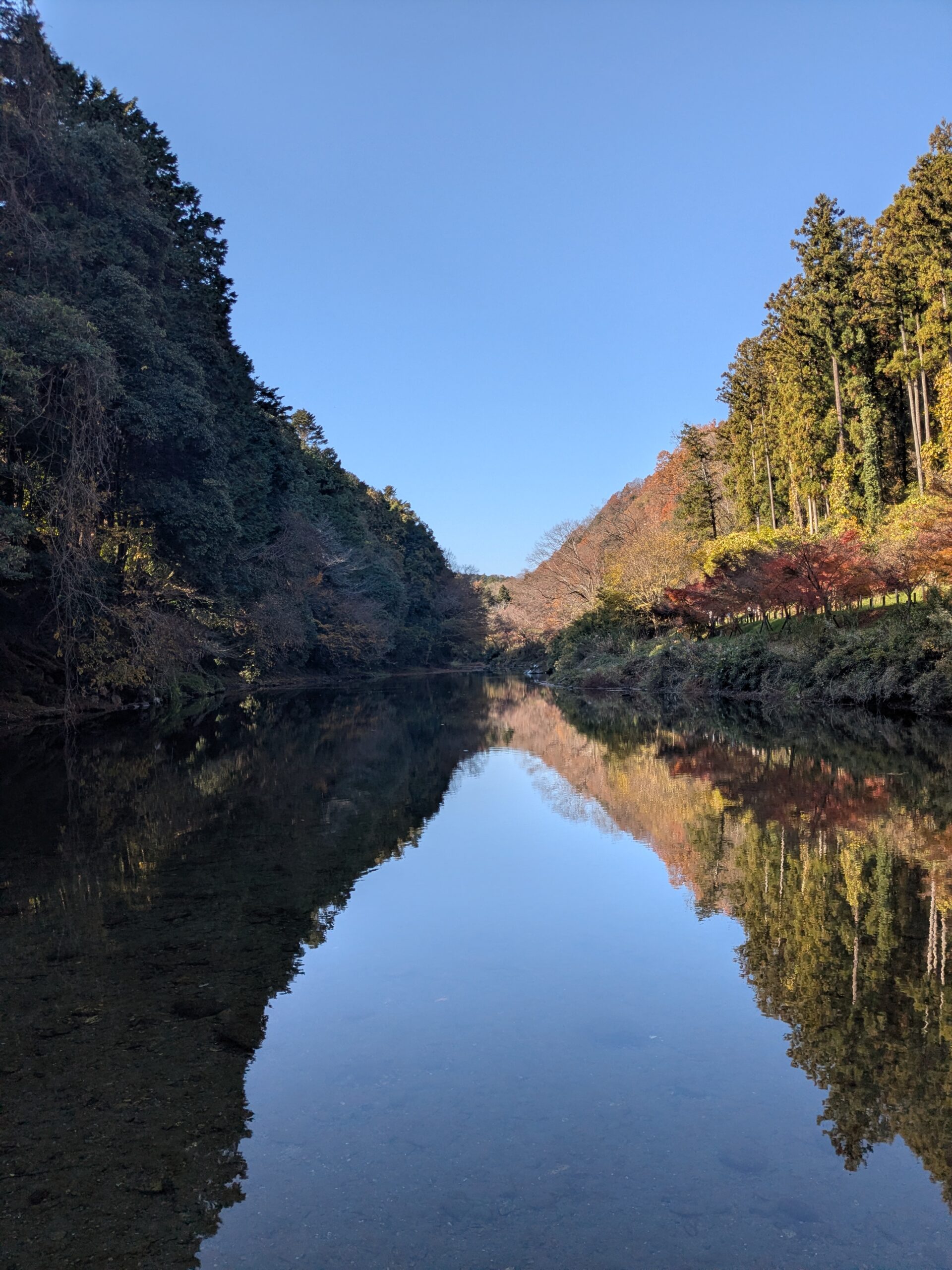 PXL_20251130_020153557