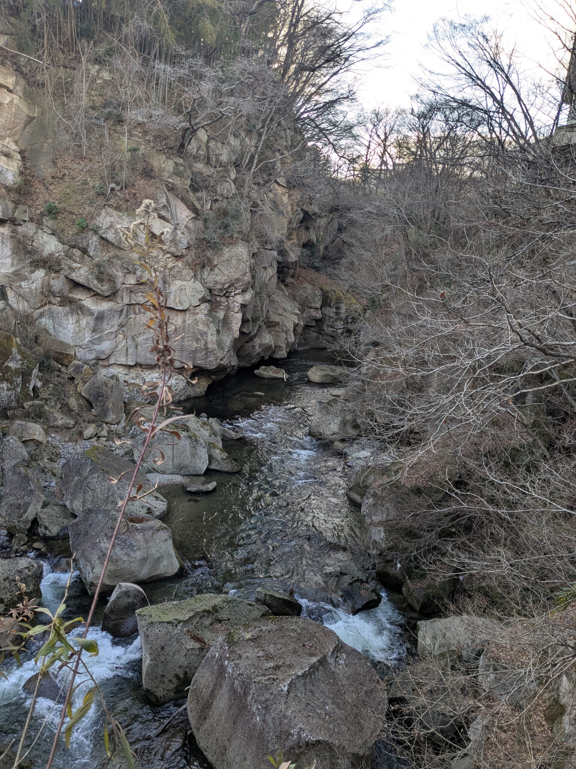 PXL_20251218_061214635