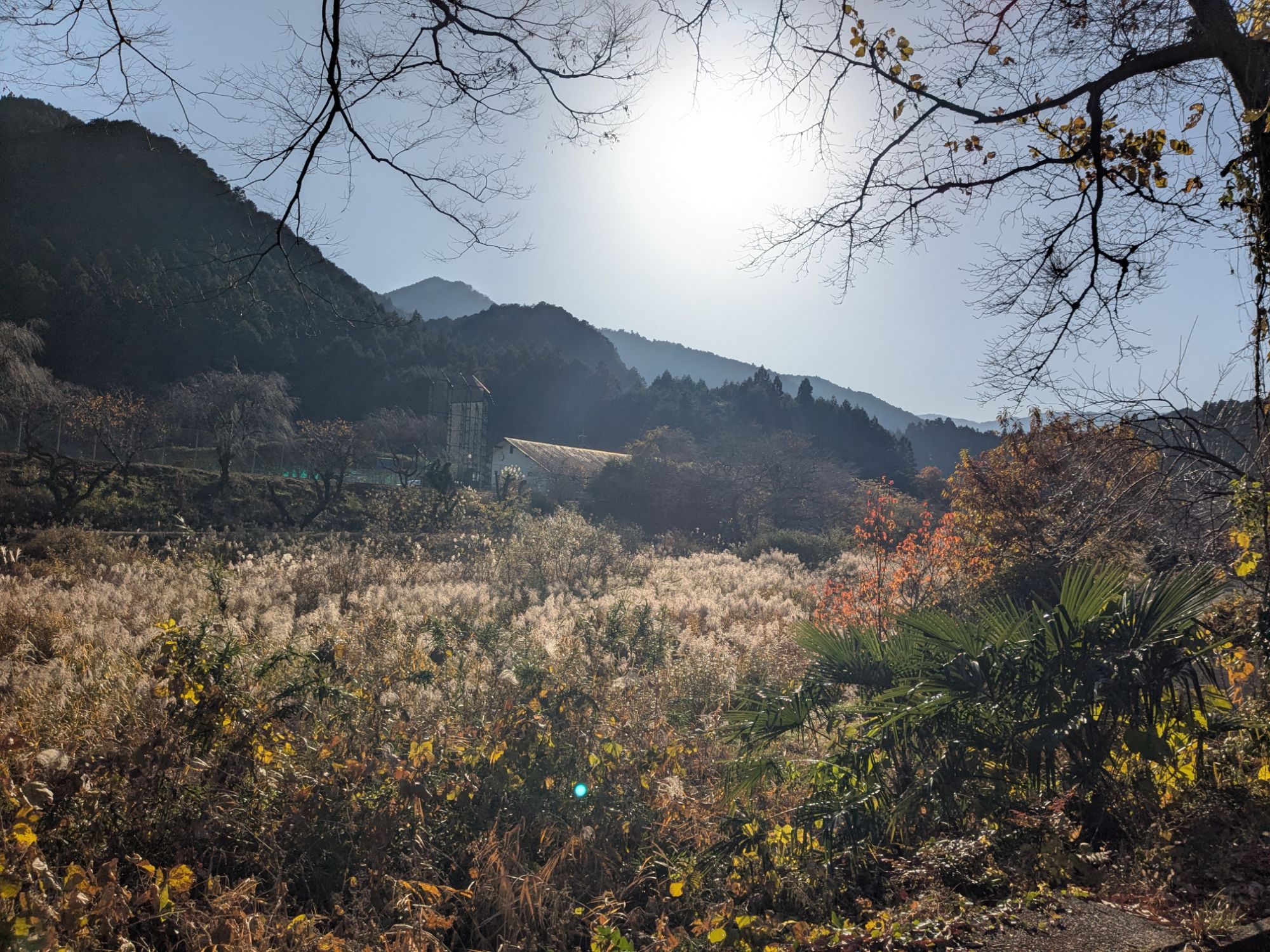 pxl_20251130_0515562176678941736170435728