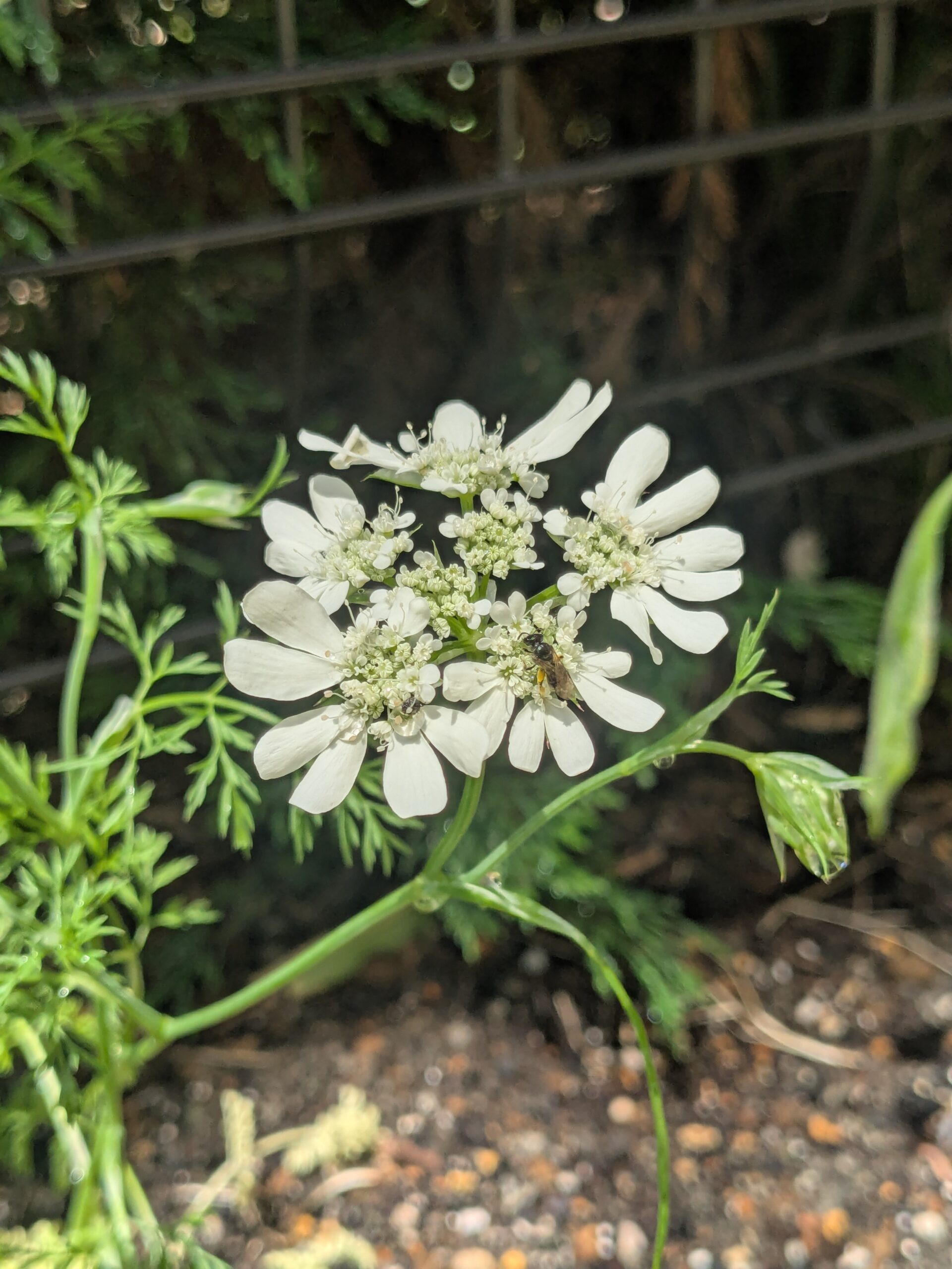 PXL_20260509_023251793
