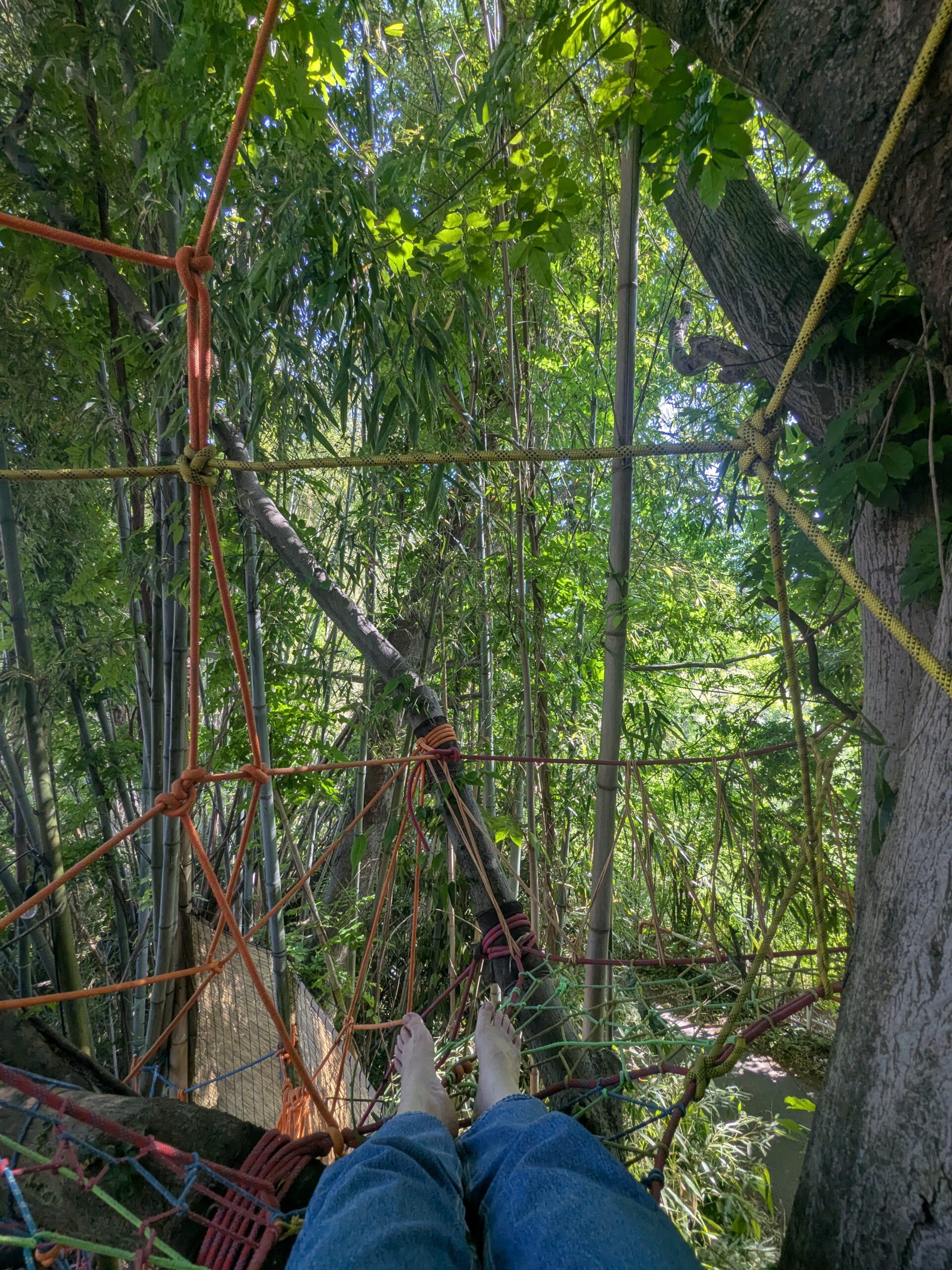 PXL_20260516_052834922