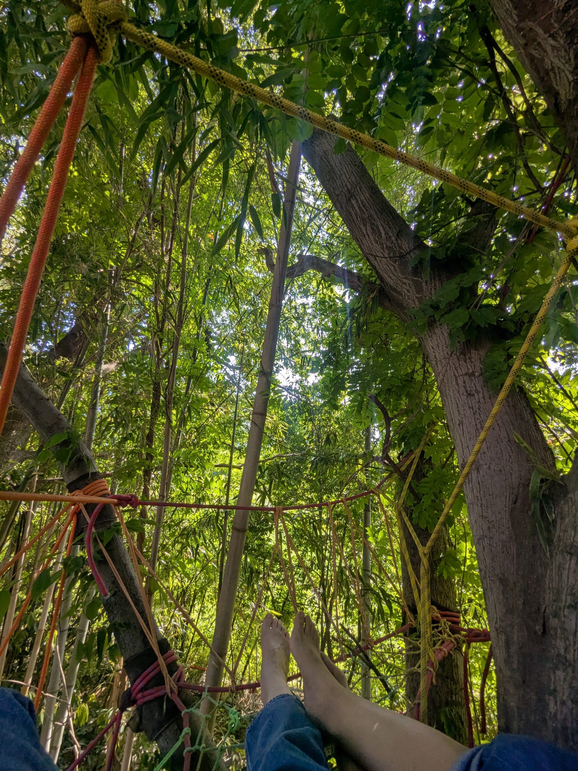 PXL_20260516_055142206